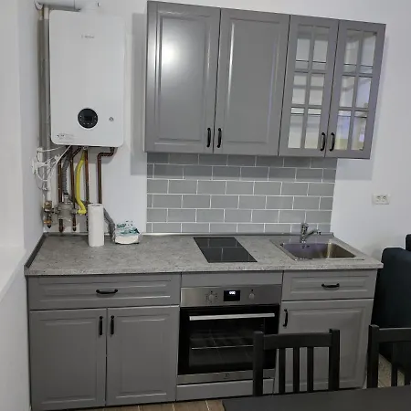 Alina'S Deluxe Apartment And Free Private Parking Dumbravita  Exterior photo