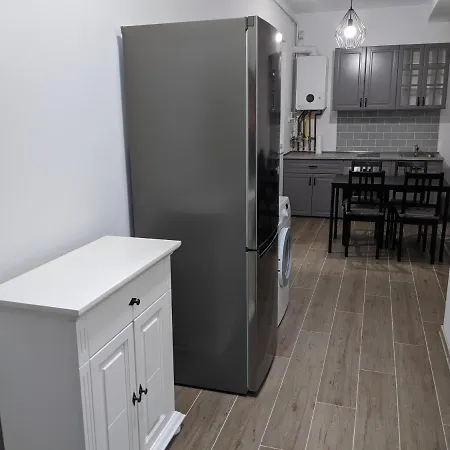 Alina'S Deluxe Apartment And Free Private Parking Dumbravita  Exterior photo